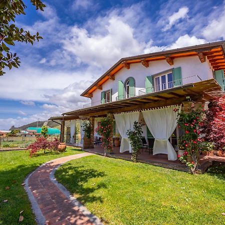 Villa Clara Few Km From The Sea - Happy Rentals بيتراسانتا المظهر الخارجي الصورة